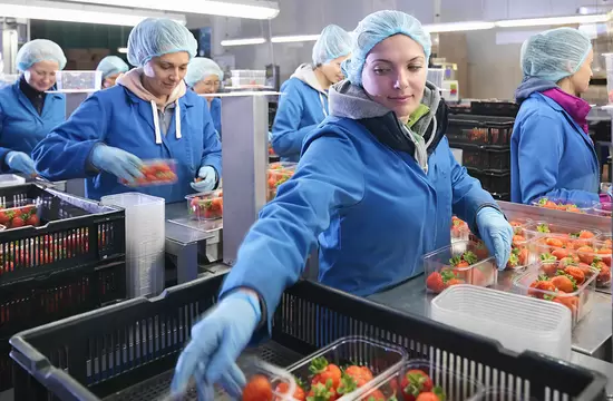 How to Select the Right Industrial Printer to Enhance Productivity and Space Efficiency